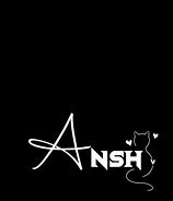 Image result for Ansh Logo 3D