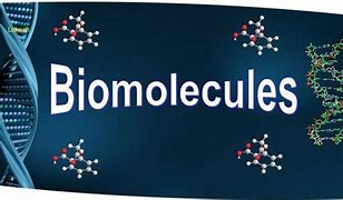 Image result for Biomolecules