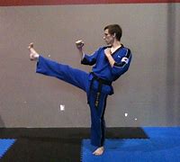 Image result for Front Kick Taekwondo