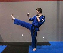 Image result for Front Kick by Mea Geri