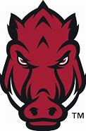 Image result for High Resolution Razorback SVG