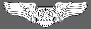 Image result for Air Force Navigator Wings