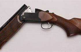 Image result for Mini 12 Gauge Shotgun