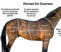 Image result for Horse Meat