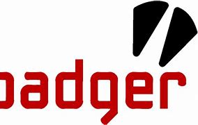 Image result for Badger Logo.png