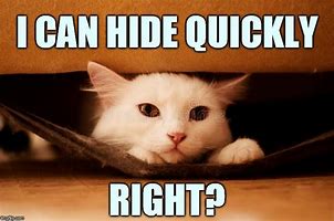 Image result for Hiding Meme