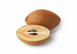 Image result for Sapodilla