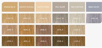 Image result for Wella Blondor