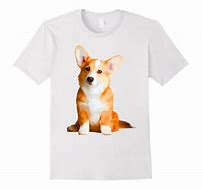 Image result for Corgi in Clothes