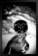 Image result for Creepy Alien Stare