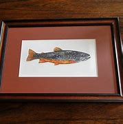 Image result for Brook Trout Art