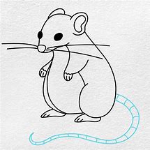 Image result for Easy to Draw Rat