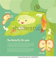 Image result for Life Cycle Preschool Art