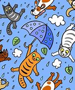 Image result for It Rains Cats and Dogs