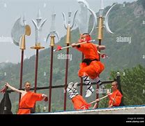 Image result for Shaolin Temple Martial Arts