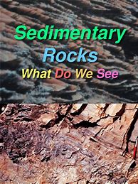 Image result for Sedimentary Rocks Book