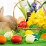 Image result for Basket of Easter Eggs