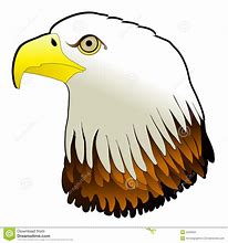 Image result for Baby Eagle Clip Art