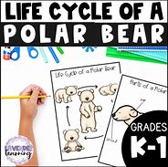 Image result for Polar Bear Life Cycle Chart