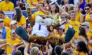 Image result for SEC Football Mascots