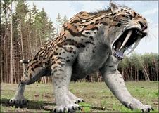 Image result for Magical Sabertooth Tiger OC