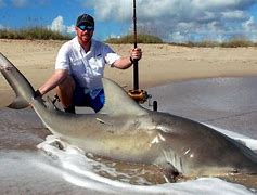 Image result for Shark-Fishing