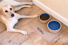 Image result for Pet Feeding Mat