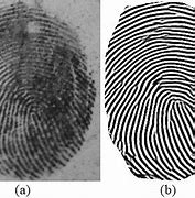 Image result for Forensics Crime Scene Fingerprints