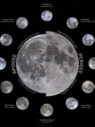 Image result for Full Bony Moon