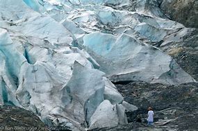 Image result for Exit Glacier