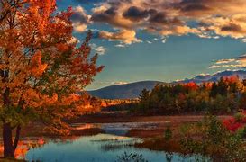 Image result for October Fall