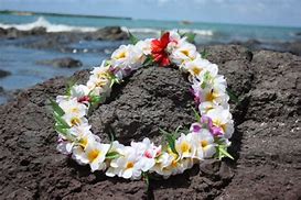 Image result for Hawaiian Flower Lei