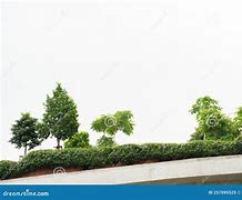 Image result for Roof Garden with White Background Plan