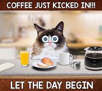 Image result for Grumpy Cat with Coffee