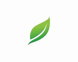 Image result for Cool Leaf Logo