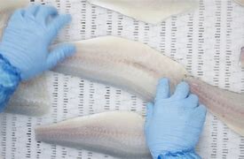 Image result for Fish Glaze