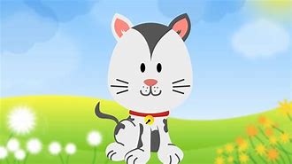 Image result for Michi Gato