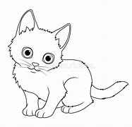 Image result for Fat Angora Cat Cartoon