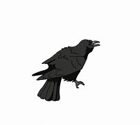 Image result for Anime Crows Cute GIF