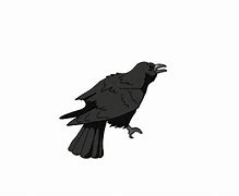 Image result for Cute Cartoon Crow GIF