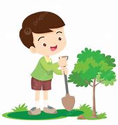 Image result for Pokok Kartun PNG