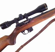 Image result for Semi Auto 22LR