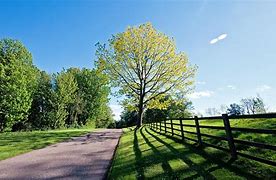 Image result for Outdoorsy View