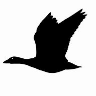 Image result for Snow Goose Decal