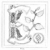 Image result for Letter E Sketch