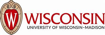 Image result for Wis Logo for School