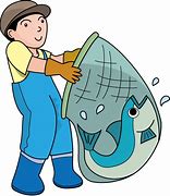 Image result for Fish Catching with Net Clip Art