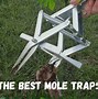 Image result for Weird Mole Traps