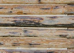 Image result for Wood Wall Texture Log