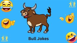 Image result for Bull Jokes